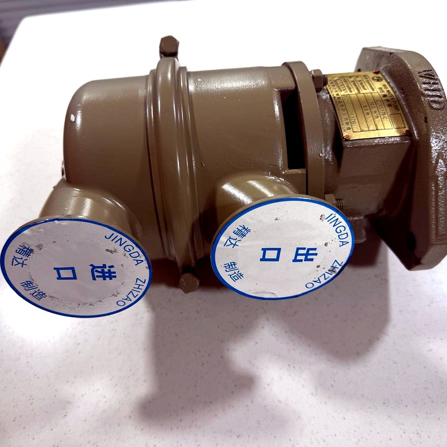Sea water pump, side view